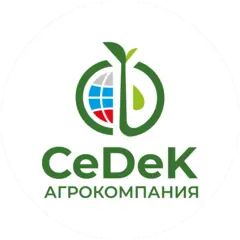 Седек