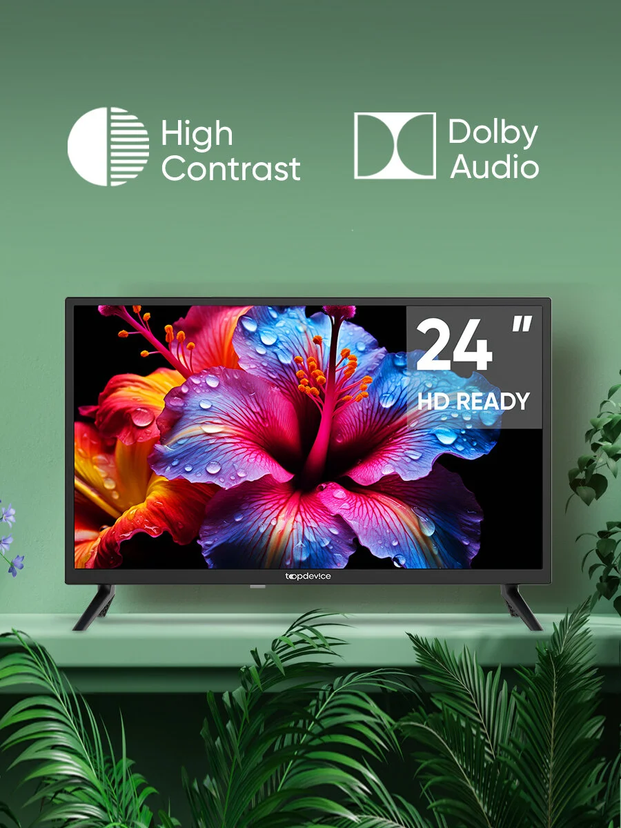 Телевизор Topdevice 24" TDTV24BN02H_BK LED
